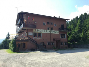 Albergo Ristorante Pineta